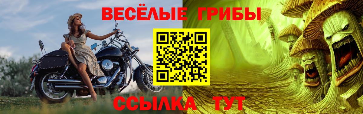 Новочеркасск  Галлюциногенные грибы мухоморы  Вход с VPN 