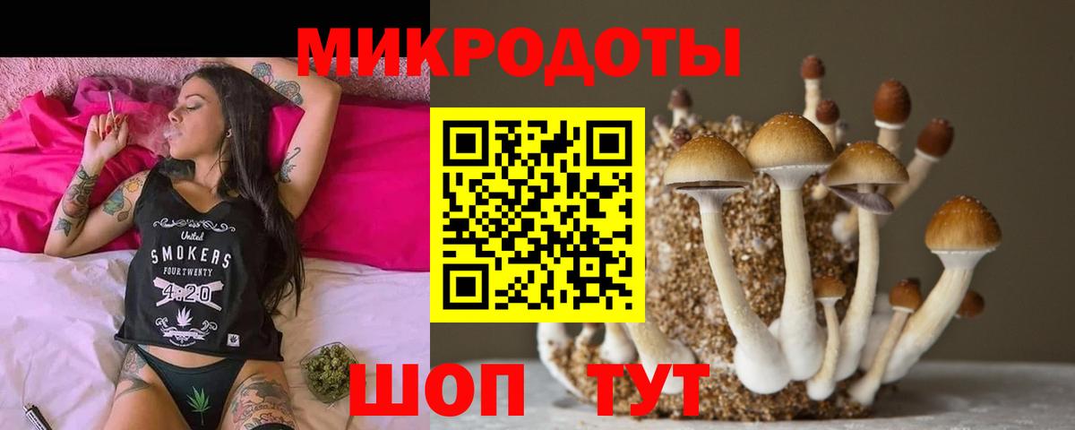 Галлюциногенные грибы мицелий Новочеркасск